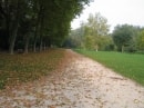 de Mareau à Pithiviers-le-Vieil